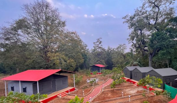 339a3c85-3752-4262-965f-2f86fc902bca