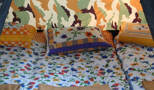 8fe9c80d-11ce-4e3e-a35a-3b3b786363c3