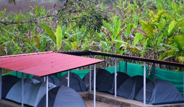 b6548448-36ed-486b-b3c8-808fa33dc509