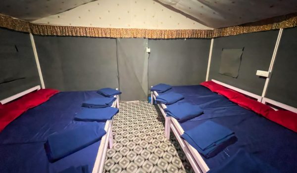 fe9ff855-f972-4b0c-9c4d-941f60c49715